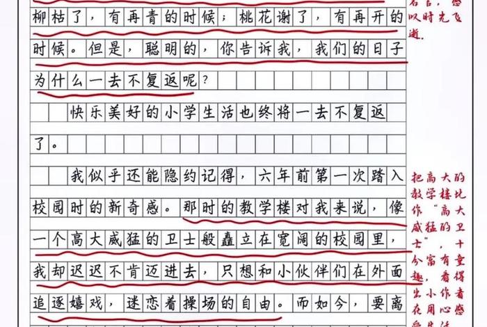 校园生活的句子加批注（校园生活作文带批注）