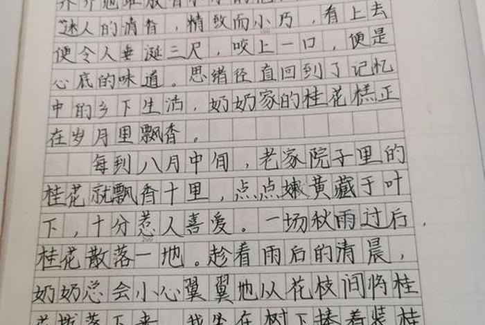 分享生活经验作文(分享生活的点滴) 分享生活经验作文(分享生活的点滴)
