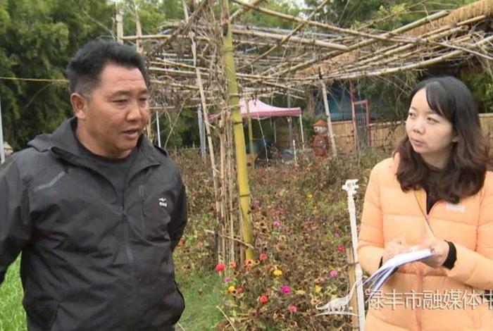 楚雄生活记(楚雄日报手机版) 楚雄生活记(楚雄日报手机版)