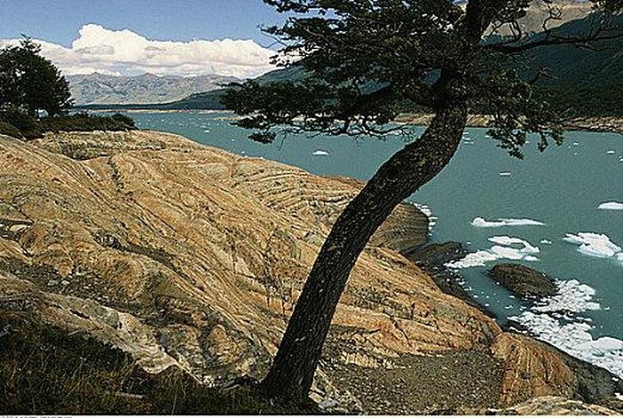 阿根廷圣克鲁斯省 阿根廷圣克鲁斯省种植业