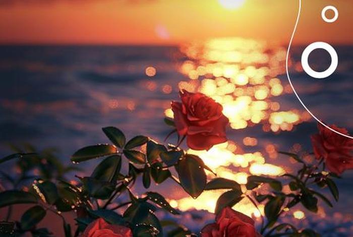 关于生活的短句八个字(关于生活的句子唯美简短) 关于生活的短句八个字(关于生活的句子唯美简短)