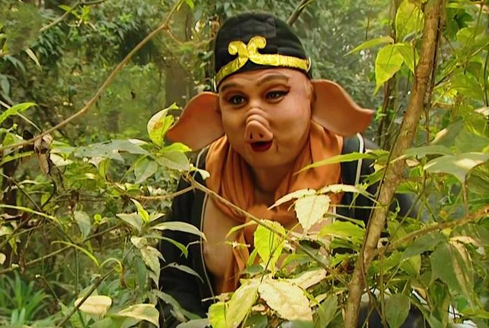 八戒生活的视频、八戒vlog 八戒生活的视频、八戒vlog