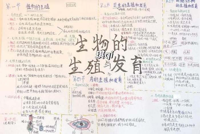 生物与生活的手抄报、与生物有关的手抄报简洁 生物与生活的手抄报、与生物有关的手抄报简洁