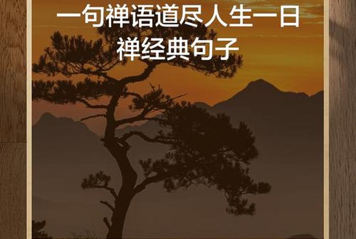 禅的生活意义是什么，禅的生活美学