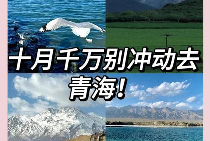 青海生活日常;青海生活节奏 青海生活日常;青海生活节奏