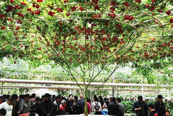 寿光生活指南服务平台；寿光生活水平怎么样