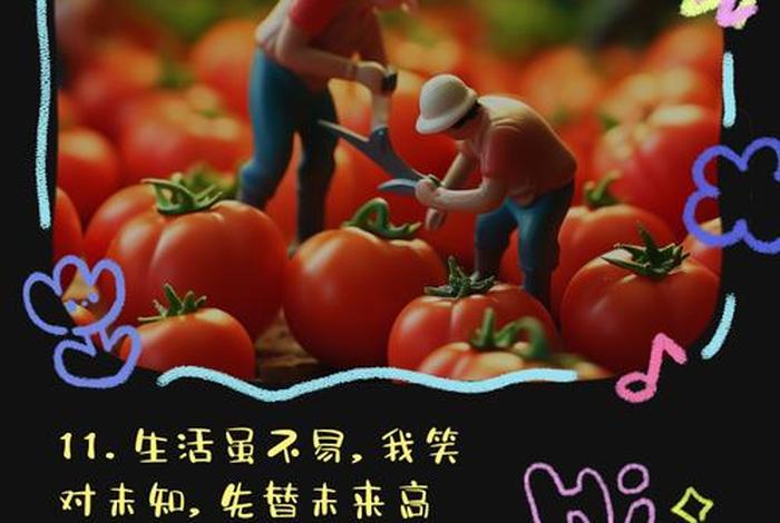 调剂生活的句子（调剂生活的乐趣）