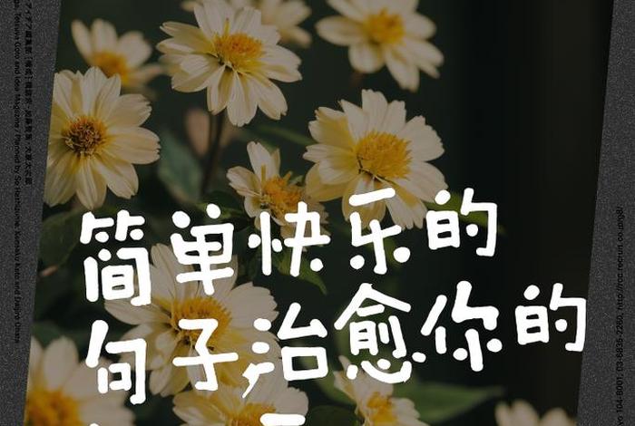 喜欢现在的生活简单而充实快乐 喜欢现在的生活充实的生活的句子