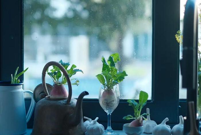 日常生活场景图片；日常生活场景有哪些