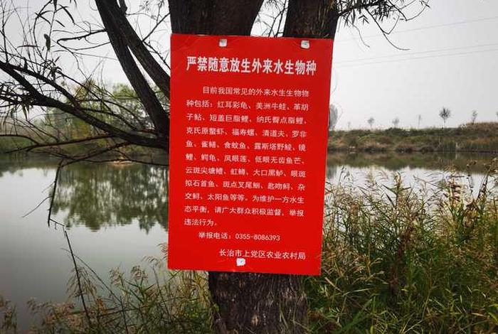 上海规范公共水域放生活动;上海适合放生的水域 上海规范公共水域放生活动;上海适合放生的水域