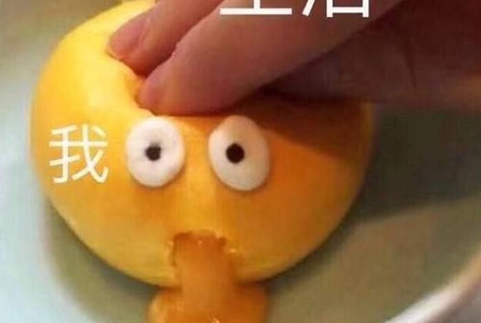 我的生活表情包 生活我表情包无字原图 我的生活表情包 生活我表情包无字原图