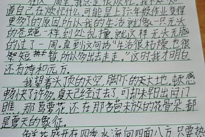 周记日常生活视频记录 记录生活周记300字 周记日常生活视频记录 记录生活周记300字