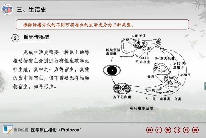 寄生生活名词解释（什么是寄生生活）