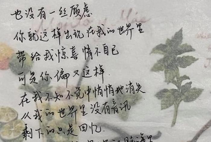 我的生活2mchotdog歌词（我的生活 歌）