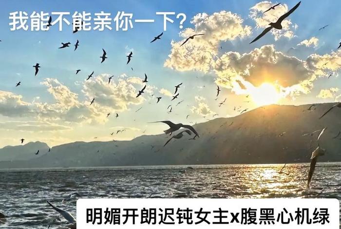 校花的生活1v1苏雪免费阅读；校花的日常生活小说