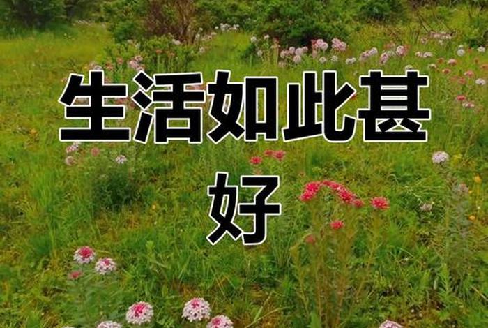 闲适的生活态度；闲适的生活态度是什么