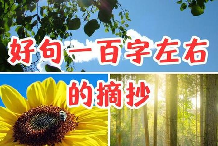 生活经典语录100字、生活经典语录100字左右 生活经典语录100字、生活经典语录100字左右