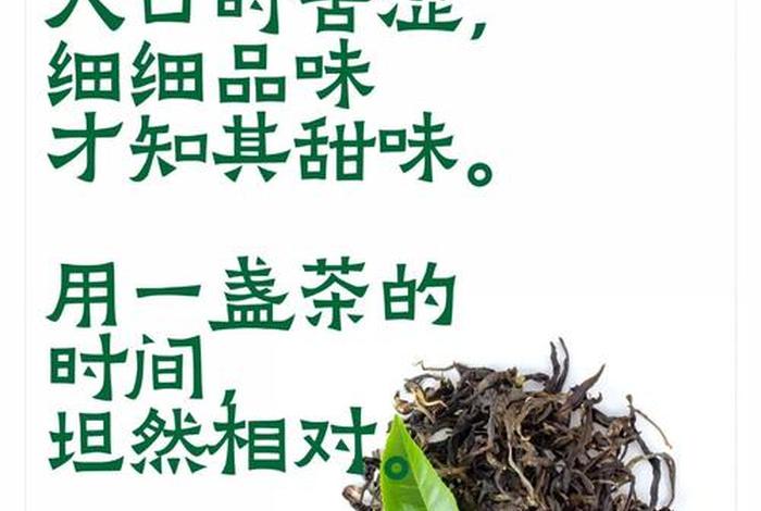 生活与茶甘苦并重是什么意思，生活跟茶一样