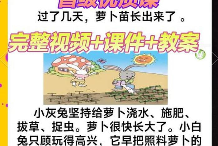 丰富课余生活有助于我们开阔视野,丰富的课余生活有助我们什么提高什么培养什么 丰富课余生活有助于我们开阔视野,丰富的课余生活有助我们什么提高什么培养什么