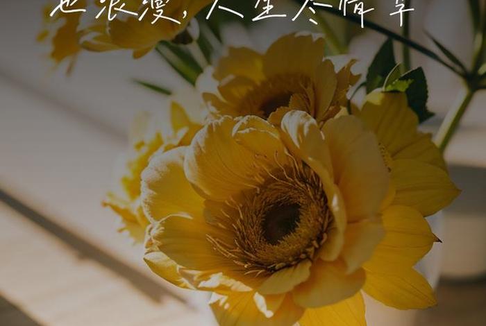 生活感悟的图片 心情,生活感悟人生图片 生活感悟的图片 心情,生活感悟人生图片