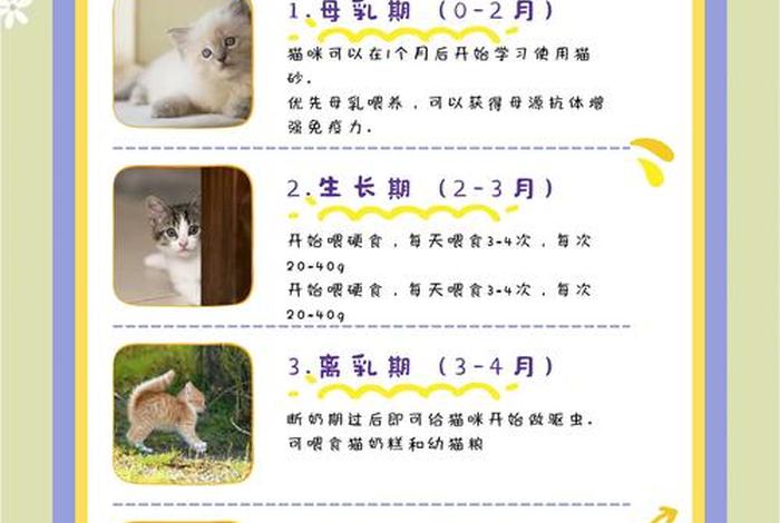 爱猫生活游戏 - 爱猫生活游戏中怎么给猫喂食