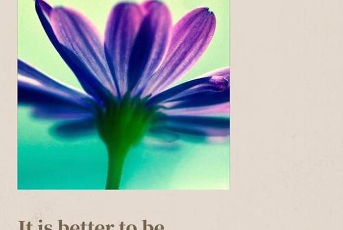 平淡的生活英文、平淡生活 英文