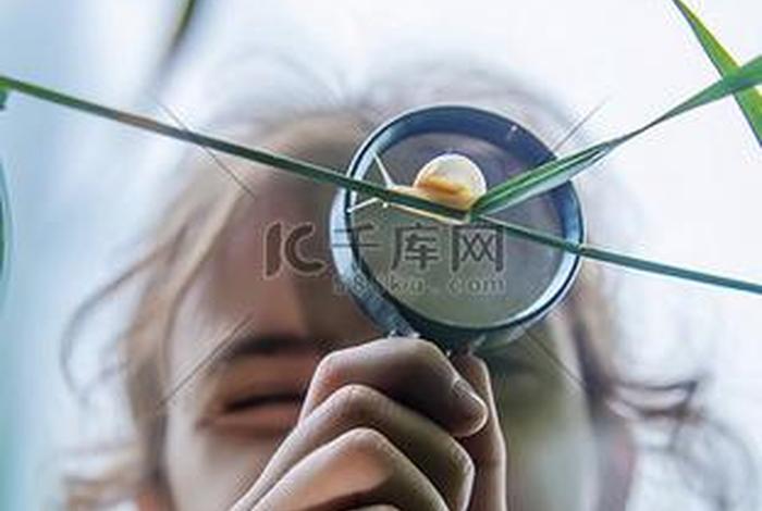 观察生活人物素材 - 观察生活中的人物