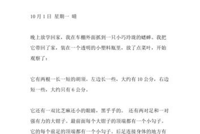 观察生活日记300字；观察生活日志