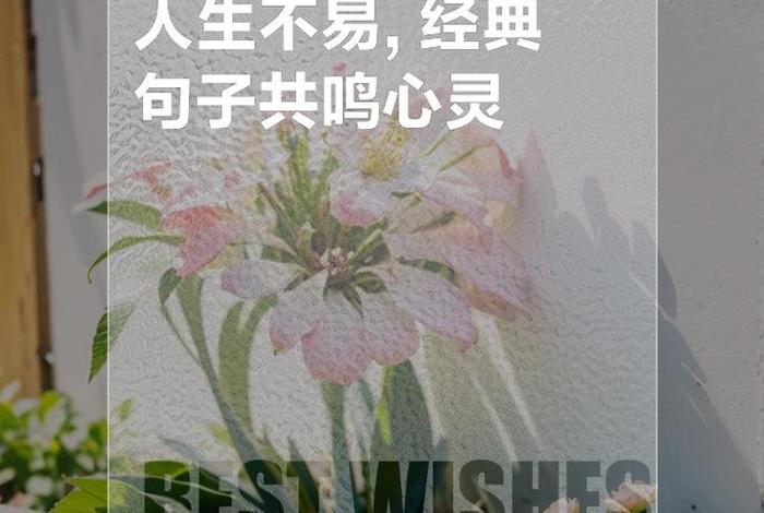 生活来之不易幸福源于珍惜、幸福生活是来之不易的