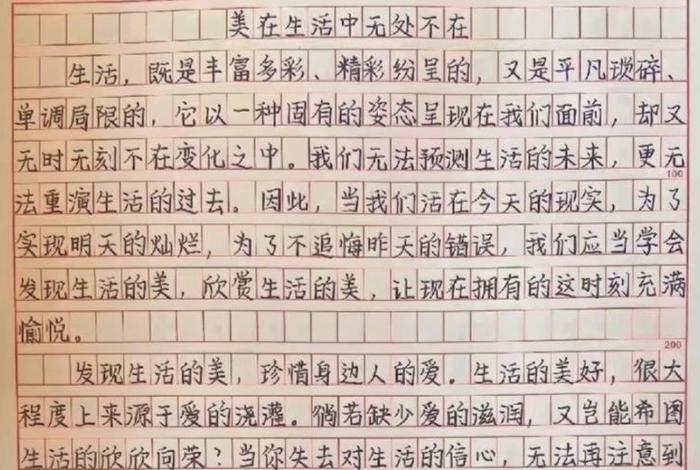 生活的魅力在里作文（生活的魅力作文600）
