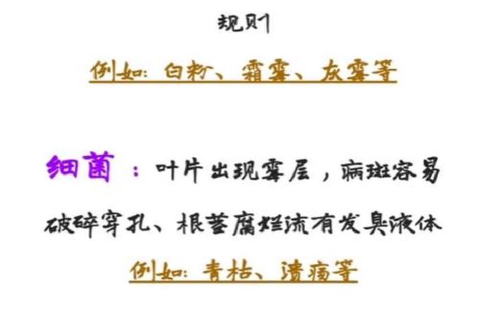 寄生生活的真菌 寄生在真菌里的病毒叫什么