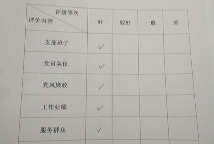 组织生活个人民主评议发言材料,组织生活会个人评议表 组织生活个人民主评议发言材料,组织生活会个人评议表