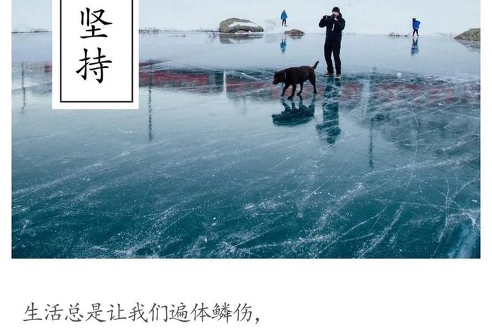 依然热爱生活前面那句叫什么 依然热爱着生活 依然热爱生活前面那句叫什么 依然热爱着生活