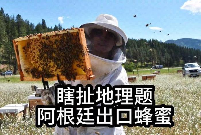 阿根廷盛产蜂蜜 阿根廷盛产蜂蜜的地方 阿根廷盛产蜂蜜 阿根廷盛产蜂蜜的地方