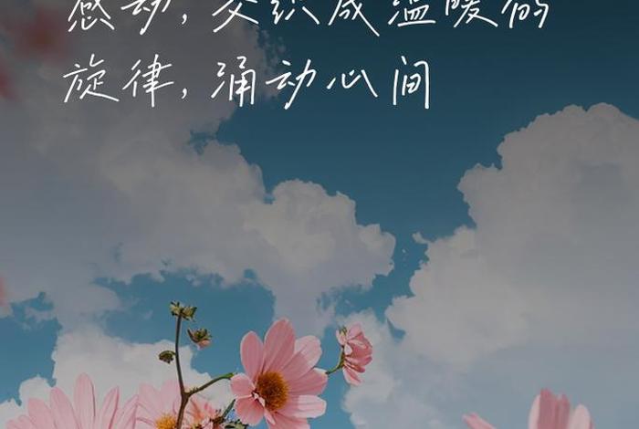 生活小惊喜唯美的句子;生活小惊喜的感悟 生活小惊喜唯美的句子;生活小惊喜的感悟