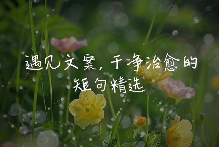 关于生活的短句文案,关于生活文案短句干净治愈 关于生活的短句文案,关于生活文案短句干净治愈