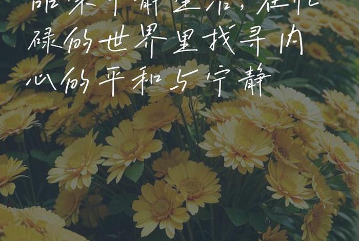 闲适的生活文案 - 闲适的生活文案图片