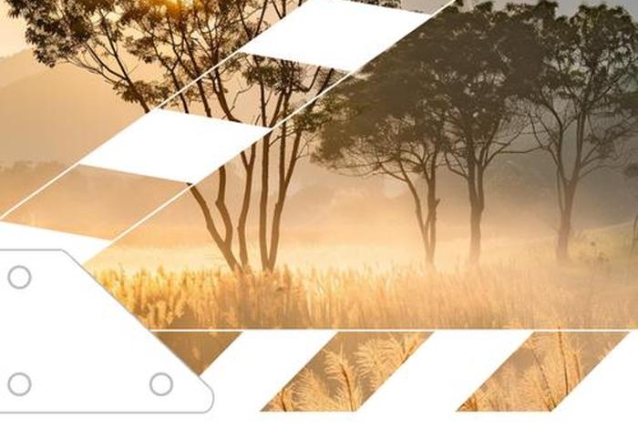 生活来之不易的感悟、生活来之不易的感悟句子