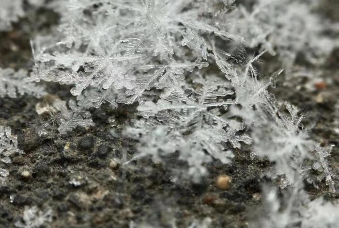 生活中的结晶现象、生活中的结晶现象是什么