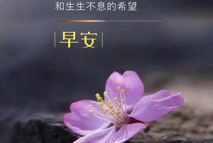 早安生活感悟（早安生活感悟的文字图片大全）