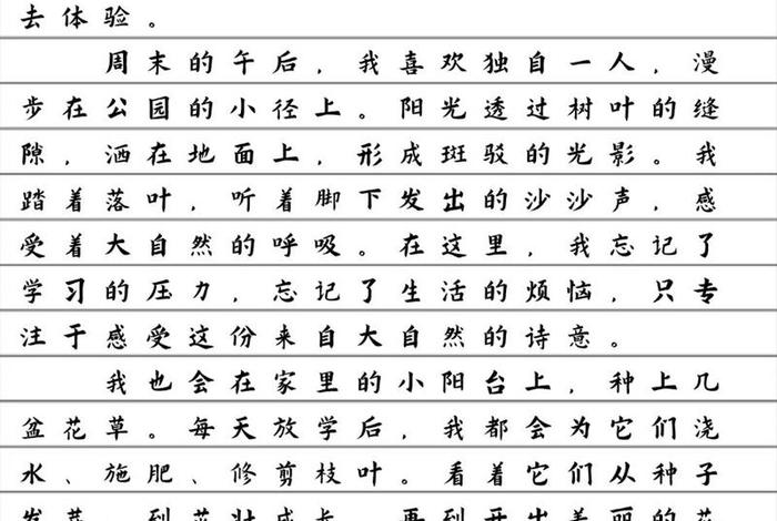 诗意的生活作文300字四年级（诗意的生活作文四百字）