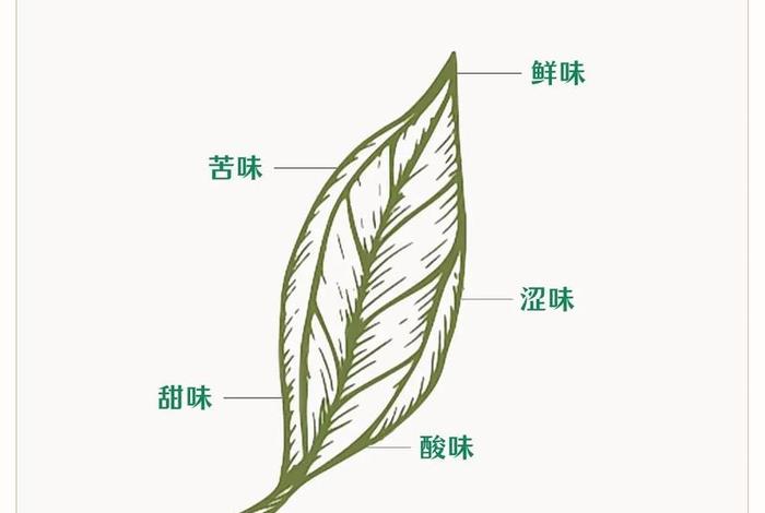 生活五味;生活五味是哪五味 生活五味;生活五味是哪五味