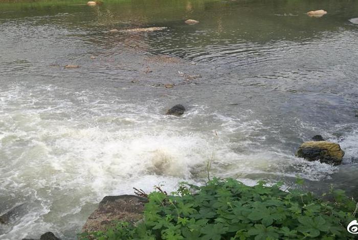 萍乡生活污水处理厂、萍乡水质