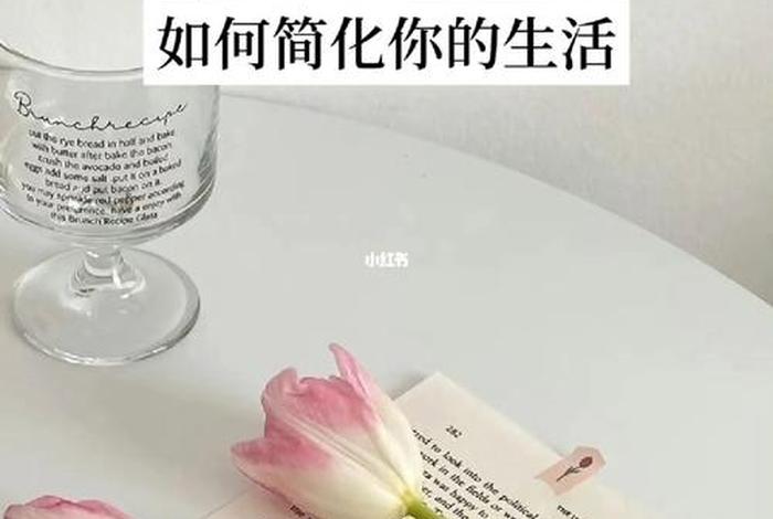 极简主义的生活,极简主义的生活视频雅思 极简主义的生活,极简主义的生活视频雅思