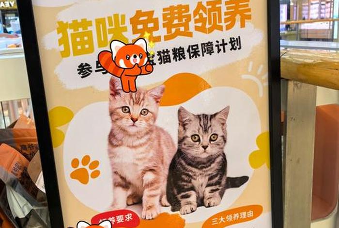 爱猫生活的团购都是真的吗；爱生活爱猫猫