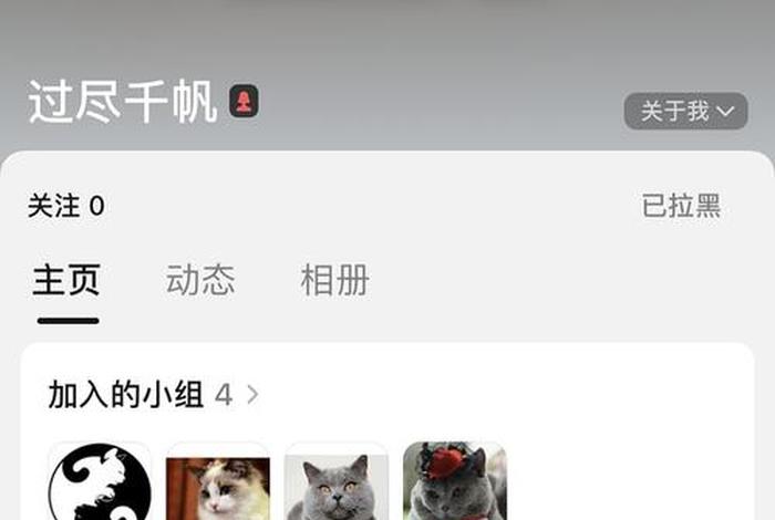 爱猫生活小组团购 - 爱猫生活小组审核要多久