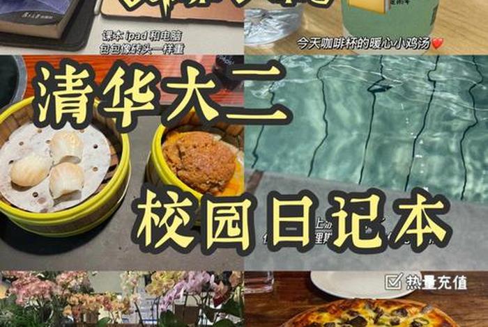 大二的生活（大二的生活日常）