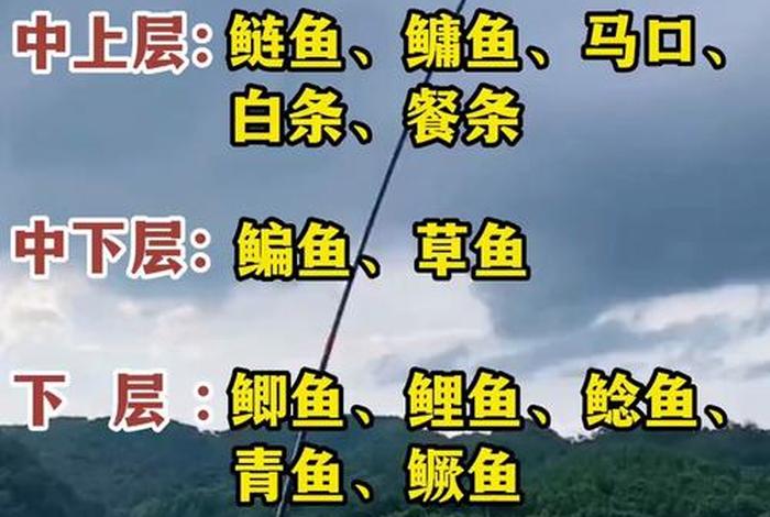 生活是水工作是鱼(生活是水我是鱼) 生活是水工作是鱼(生活是水我是鱼)
