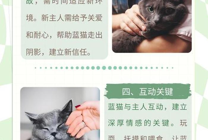 爱猫生活频道 爱猫生活组观点正确吗 爱猫生活频道 爱猫生活组观点正确吗