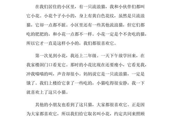 流浪猫的生活作文(关于流浪猫的作文怎么写300) 流浪猫的生活作文(关于流浪猫的作文怎么写300)